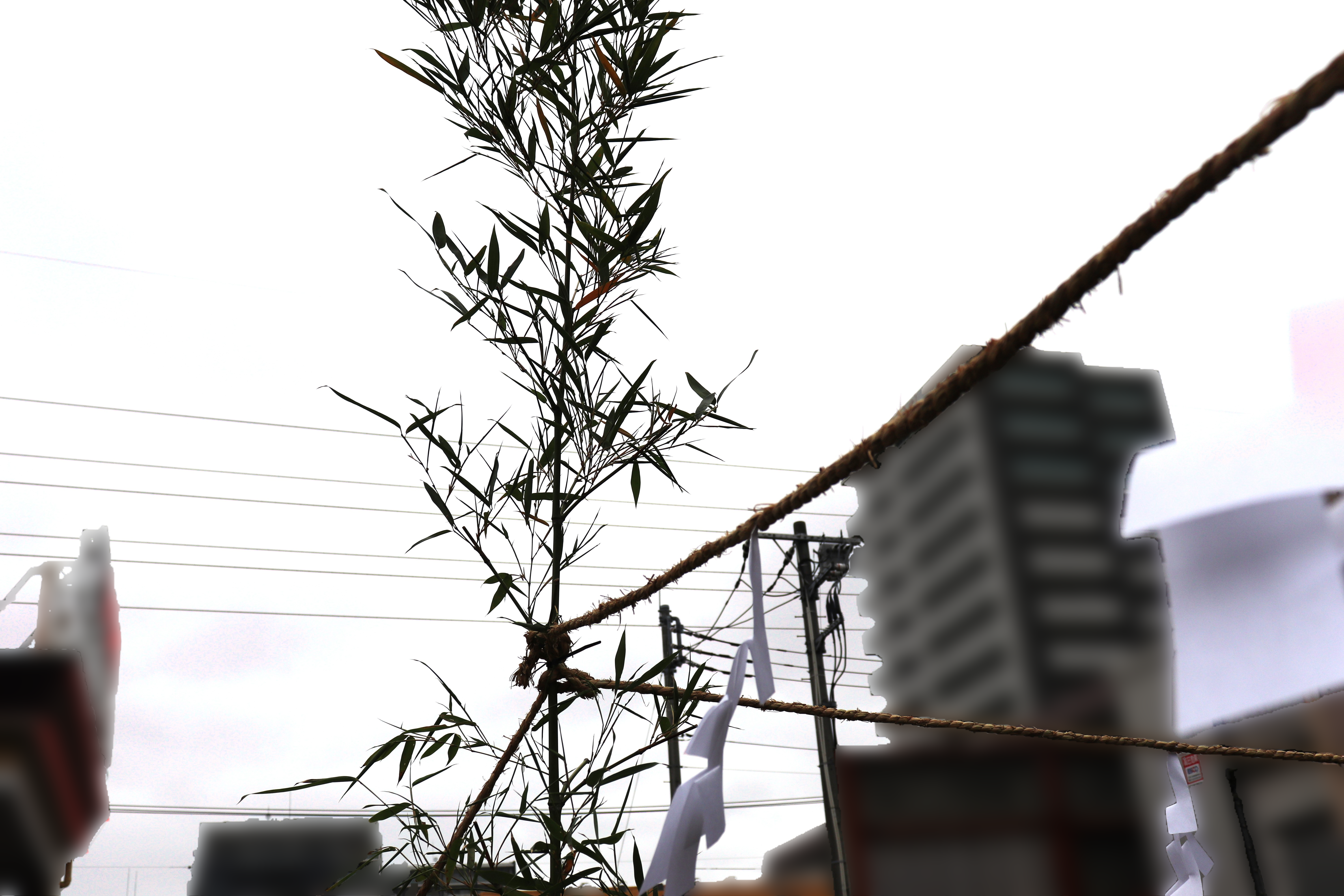 IMG_7976.png